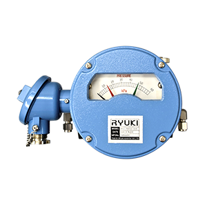 Differential Pressure Gauge